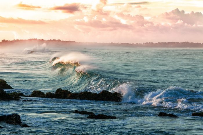 Scopri di più sull'articolo Oggi è la giornata mondiale degli oceani