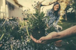 Scopri di più sull'articolo Comperare meno per un maggiore rispetto dell’ambiente e della nostra vita futura