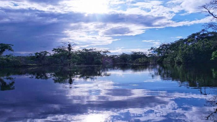 Scopri di più sull'articolo 5 settembre, giornata dell’Amazzonia