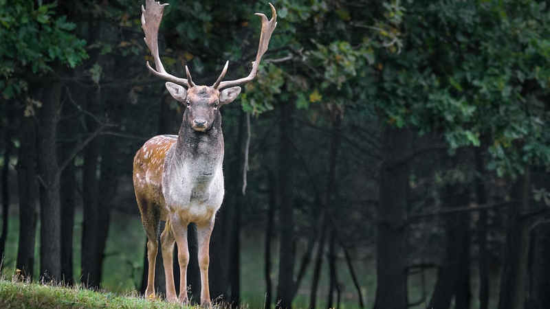 Scopri di più sull'articolo Giornata mondiale della natura