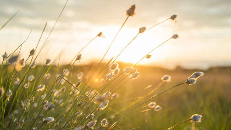 Scopri di più sull'articolo Giornata mondiale dell’ambiente