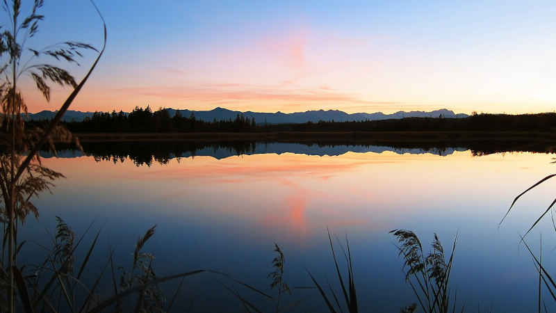 Scopri di più sull'articolo Presenza di cianobatteri nei laghi: cosa fare?