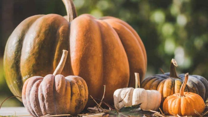 Scopri di più sull'articolo L’orto urbano d’autunno: cosa piantare sul balcone a ottobre