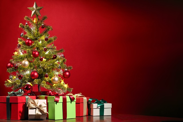 Scopri di più sull'articolo È più sostenibile l’albero di Natale vero o in plastica?