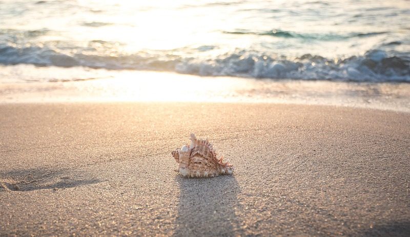 Scopri di più sull'articolo Vacanze sostenibili: come viaggiare rispettando il pianeta